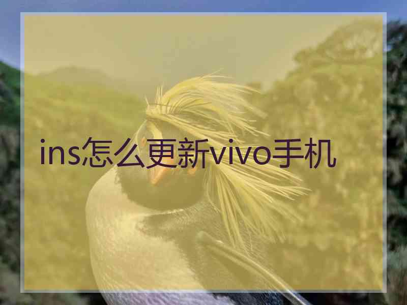 ins怎么更新vivo手机