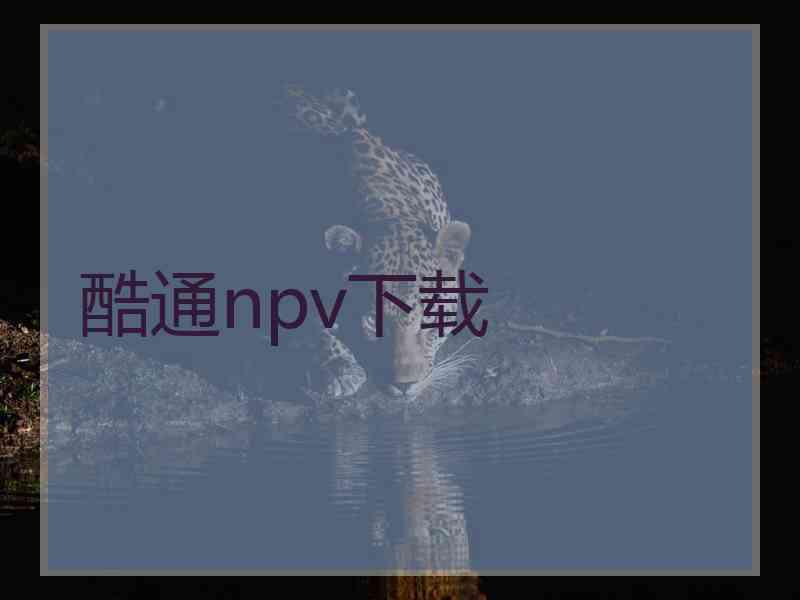 酷通npv下载