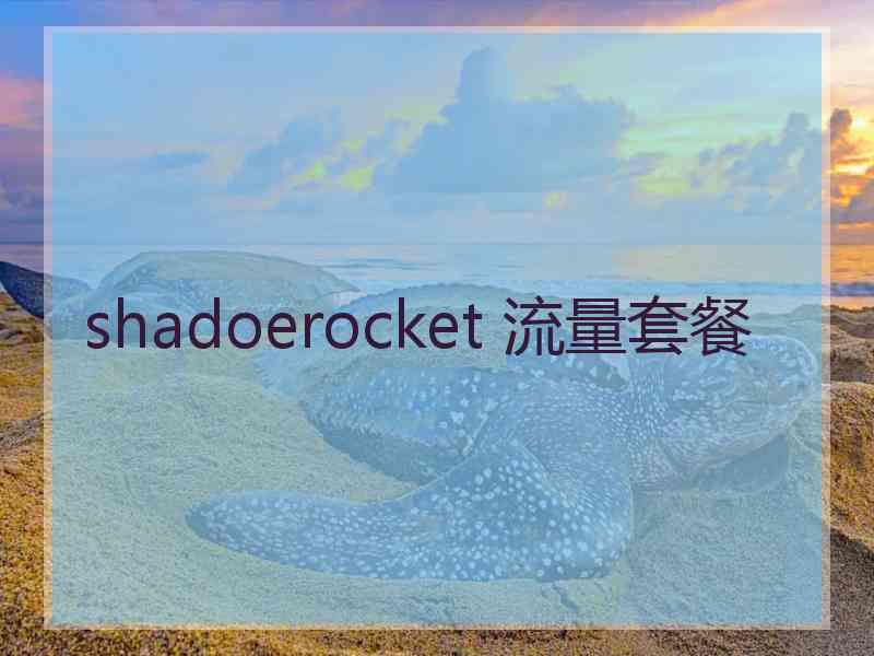 shadoerocket 流量套餐