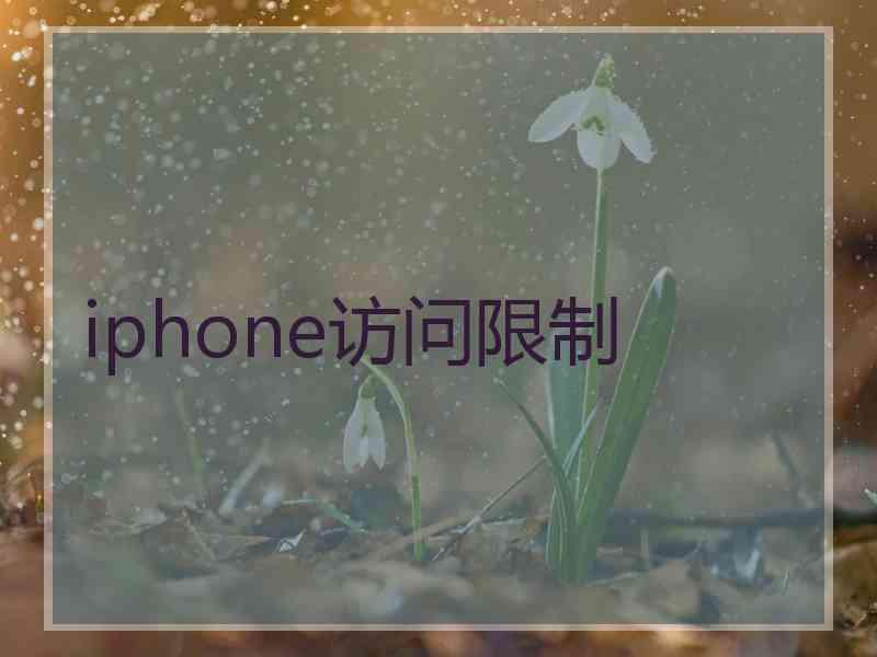 iphone访问限制