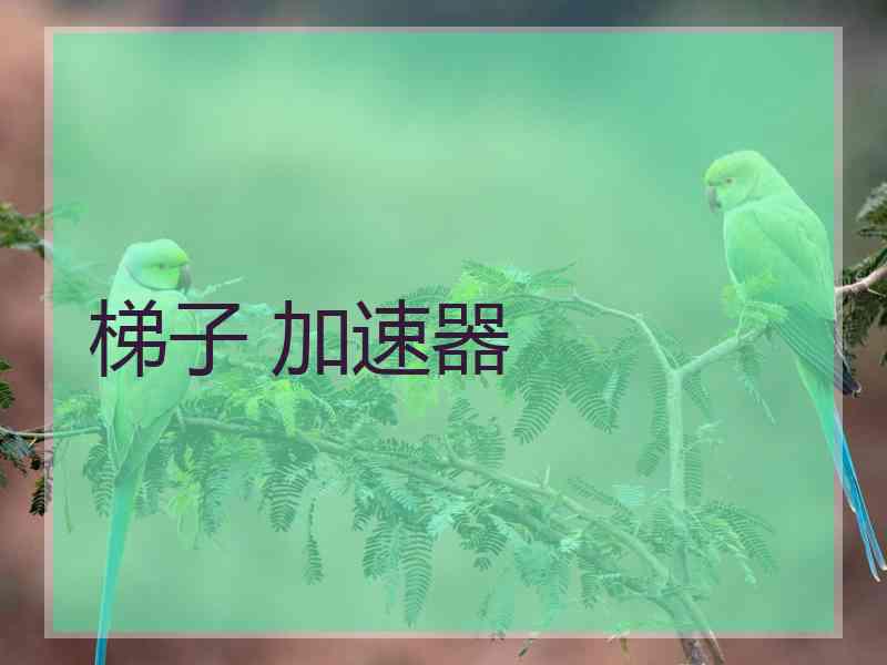 梯子 加速器