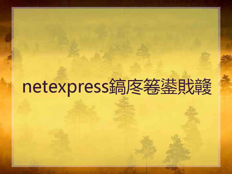 netexpress鎬庝箞鍙戝竷