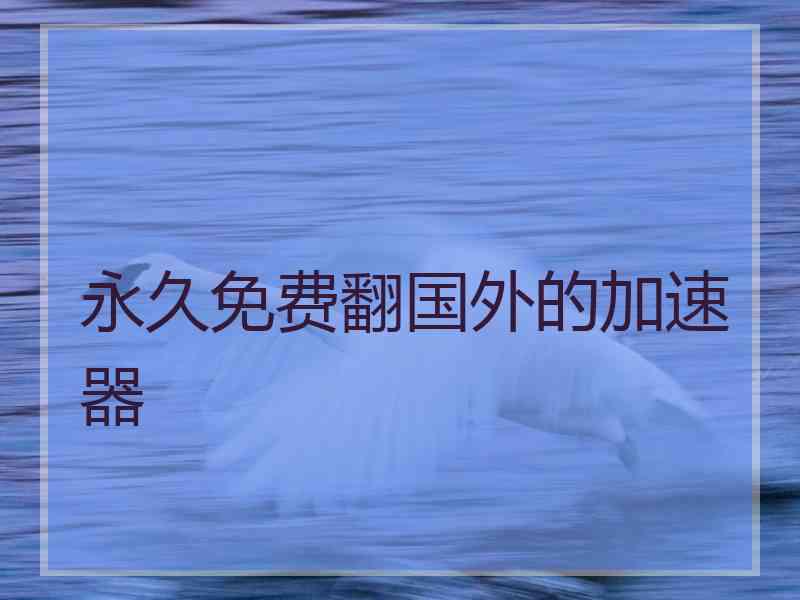 永久免费翻国外的加速器