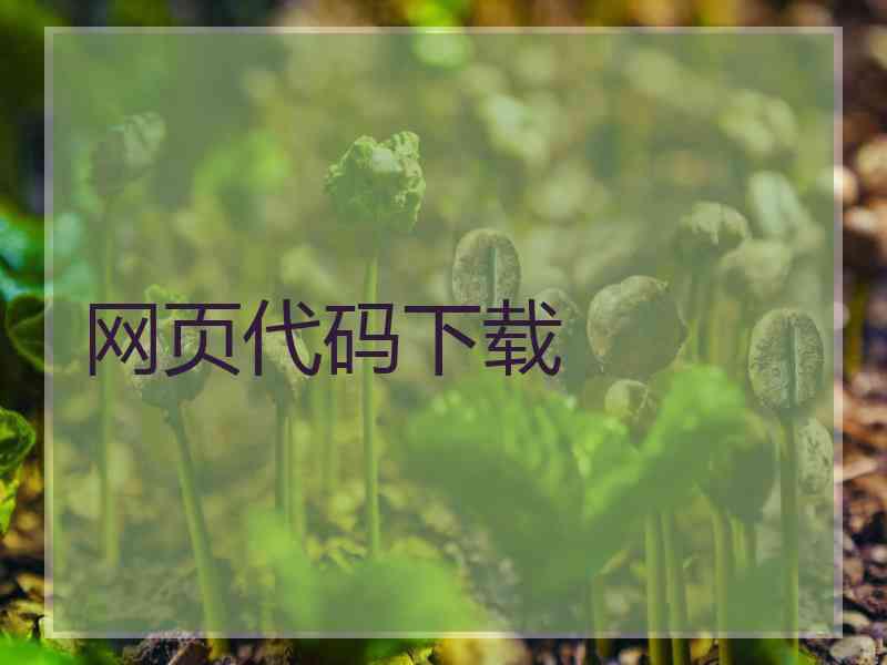 网页代码下载