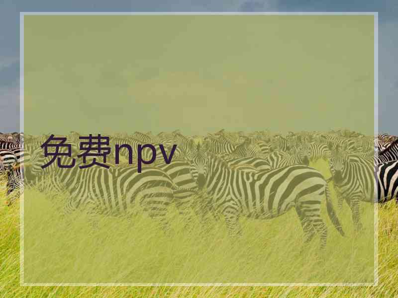 免费npv