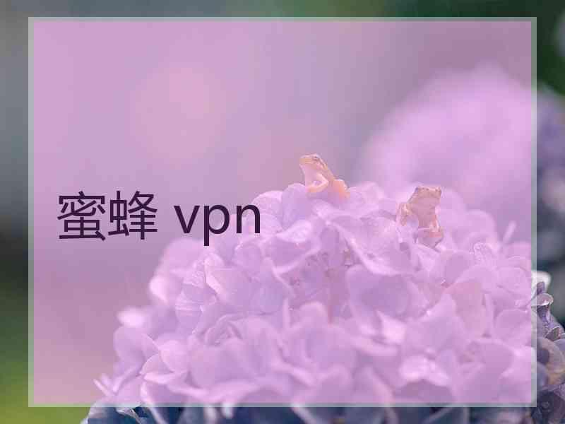 蜜蜂 vpn