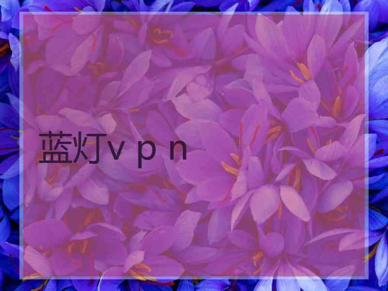 蓝灯v p n