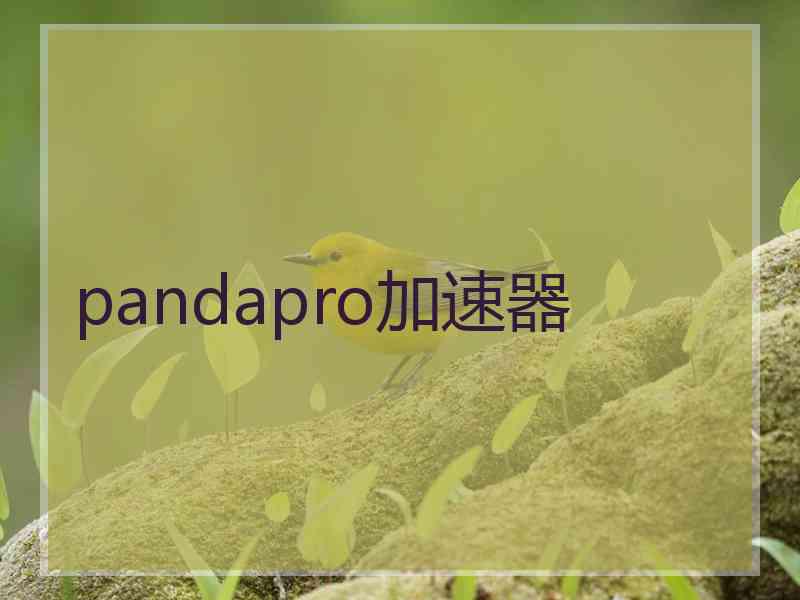 pandapro加速器