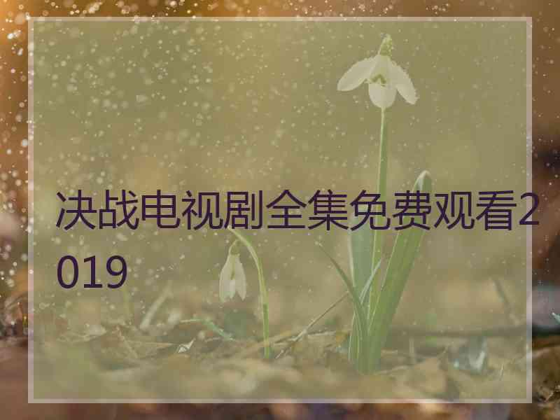 决战电视剧全集免费观看2019