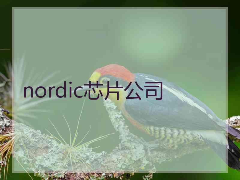 nordic芯片公司