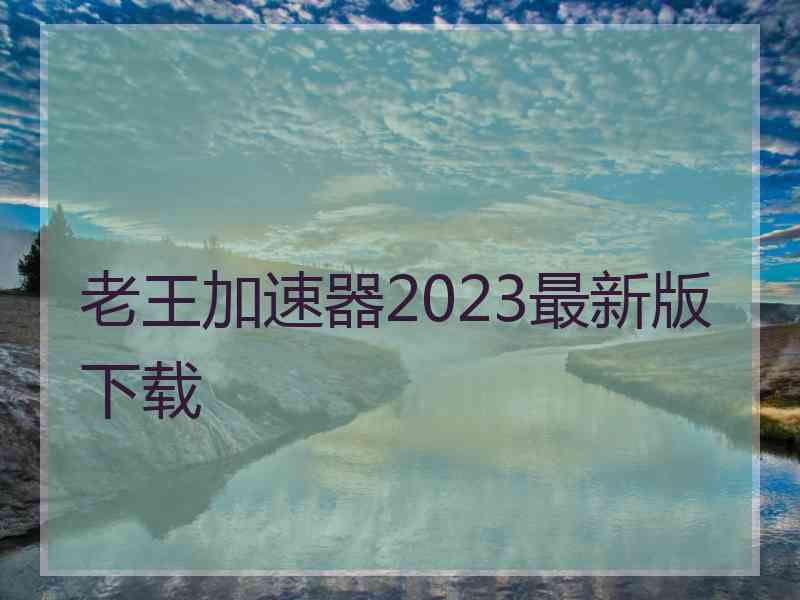 老王加速器2023最新版下载