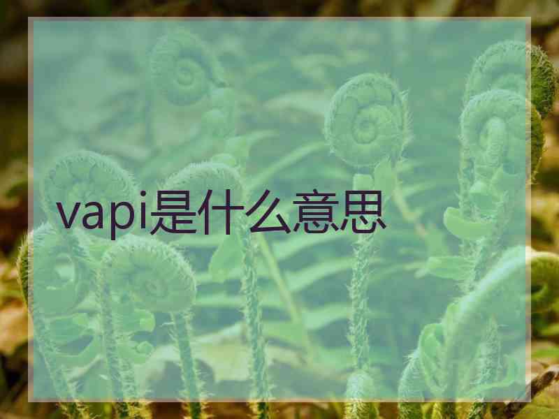 vapi是什么意思