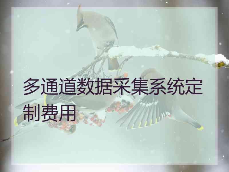 多通道数据采集系统定制费用