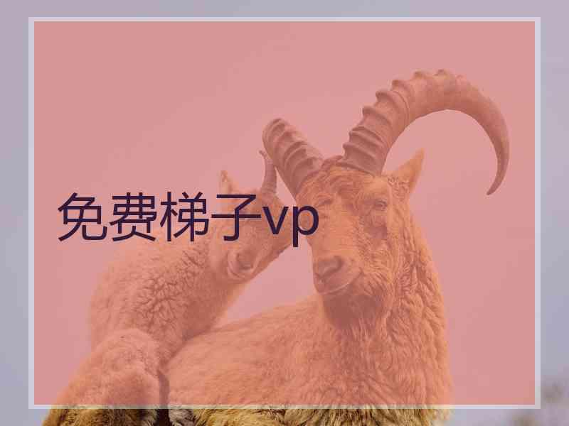 免费梯子vp