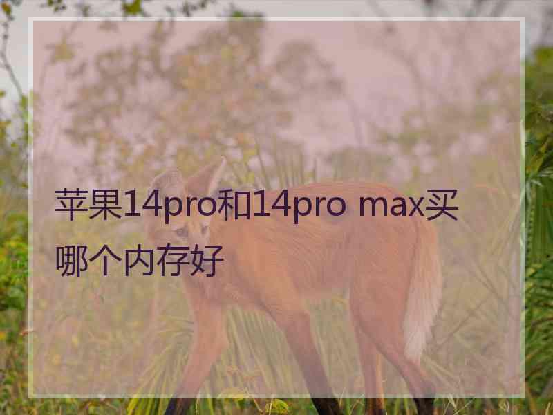 苹果14pro和14pro max买哪个内存好