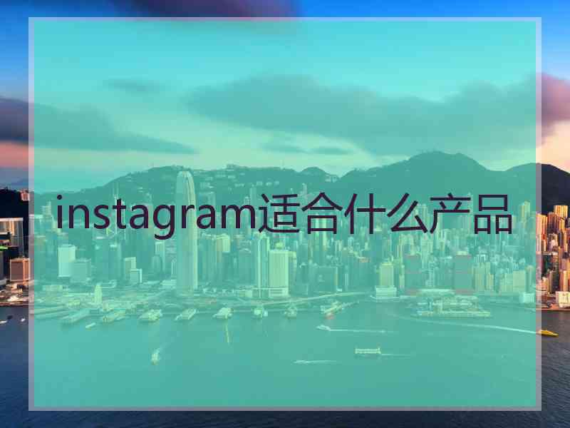 instagram适合什么产品