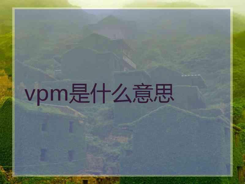 vpm是什么意思