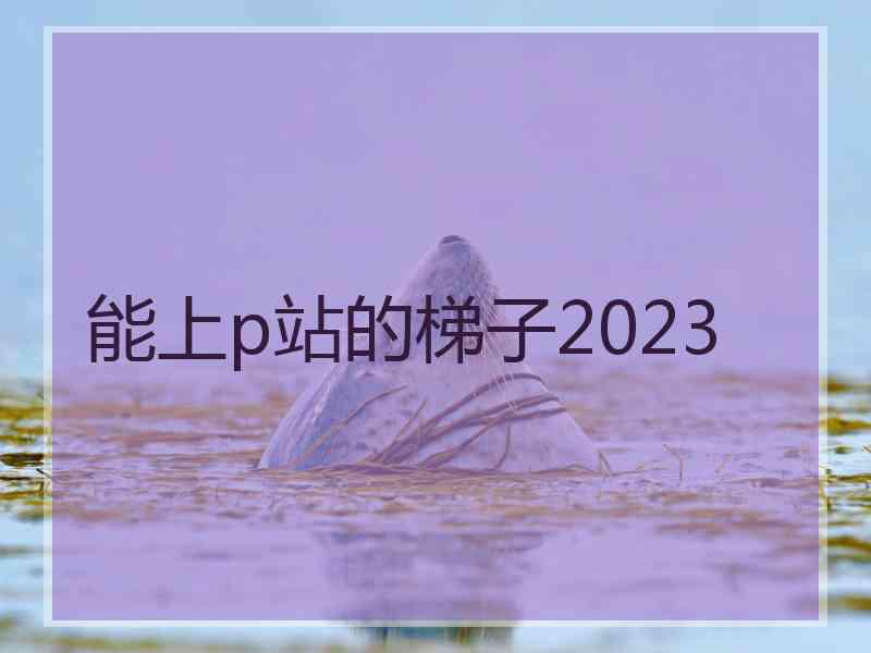 能上p站的梯子2023