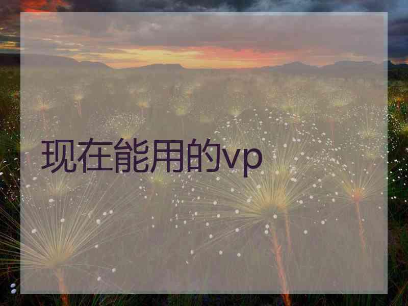 现在能用的vp