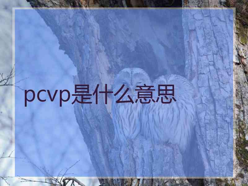 pcvp是什么意思