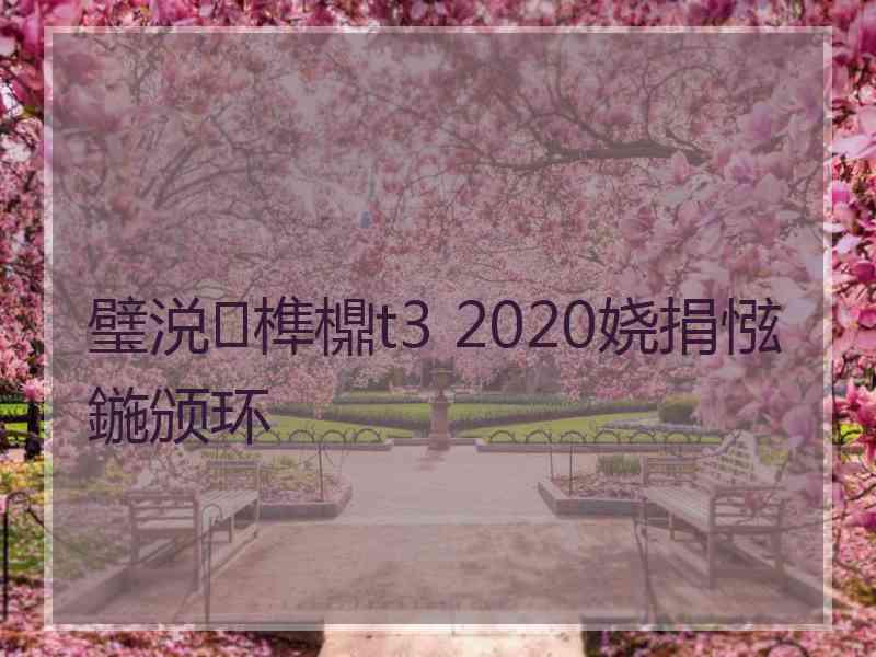 璧涚榫檙t3 2020娆捐惤鍦颁环