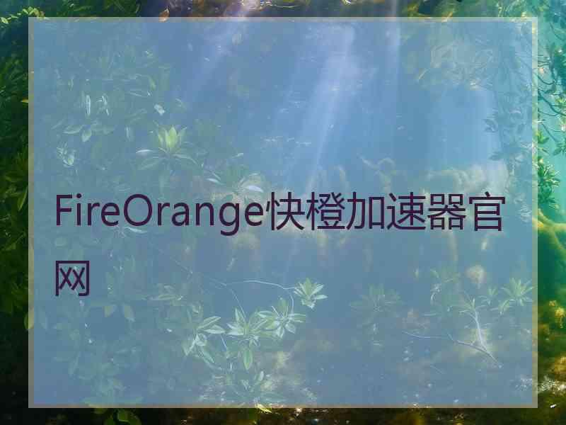 FireOrange快橙加速器官网