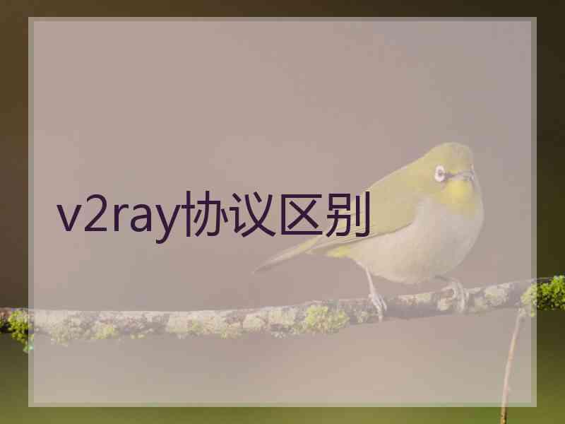 v2ray协议区别