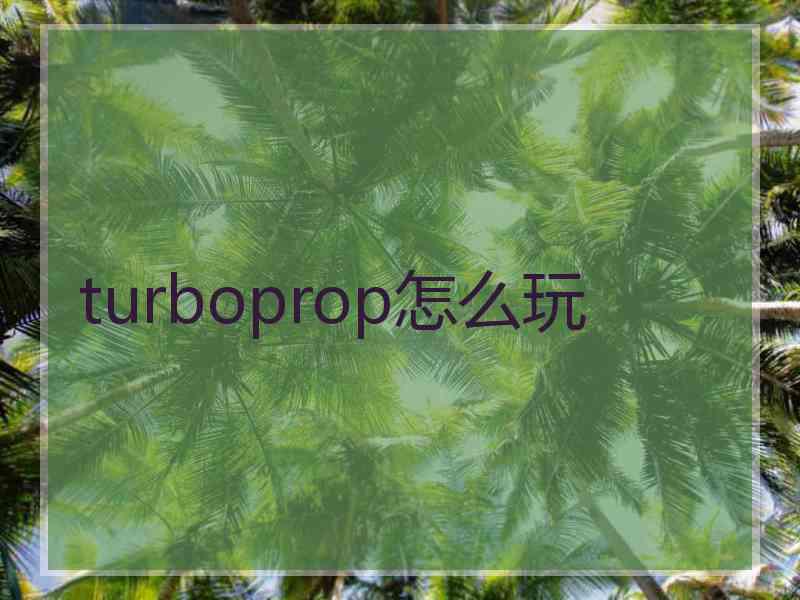 turboprop怎么玩