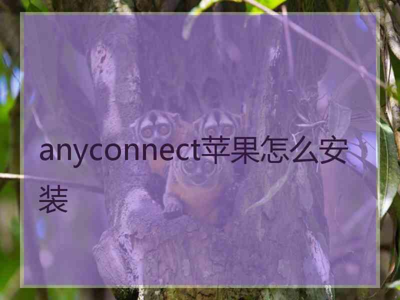 anyconnect苹果怎么安装