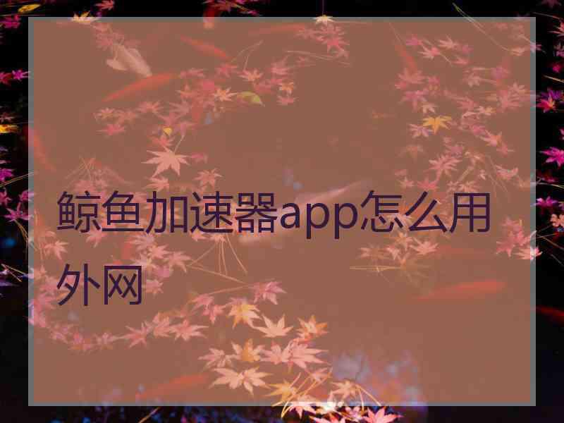 鲸鱼加速器app怎么用外网