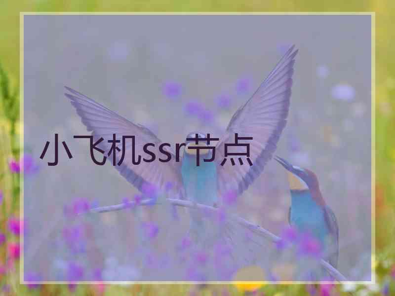 小飞机ssr节点