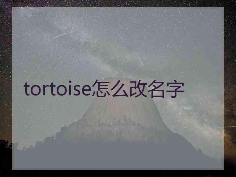 tortoise怎么改名字