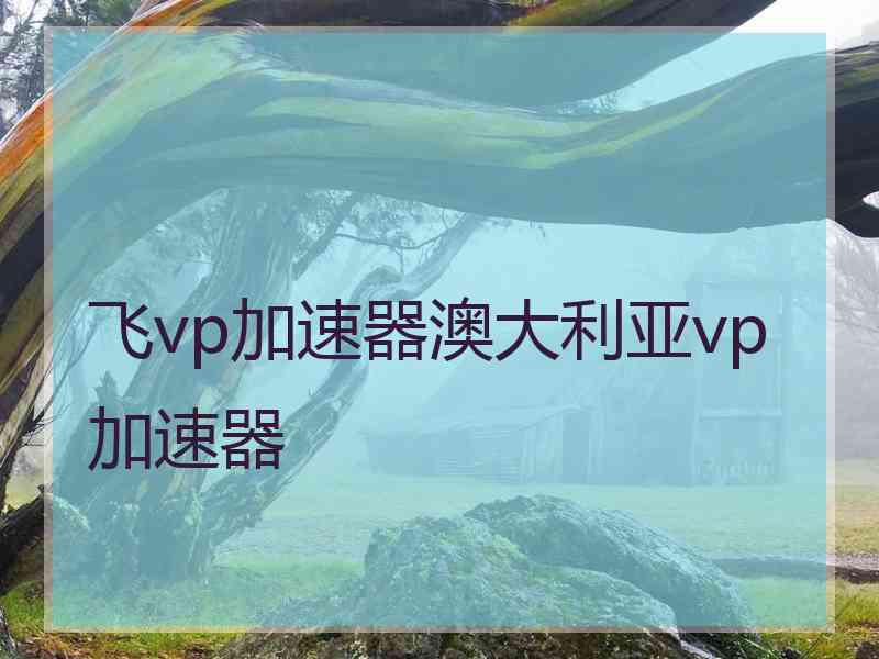 飞vp加速器澳大利亚vp加速器