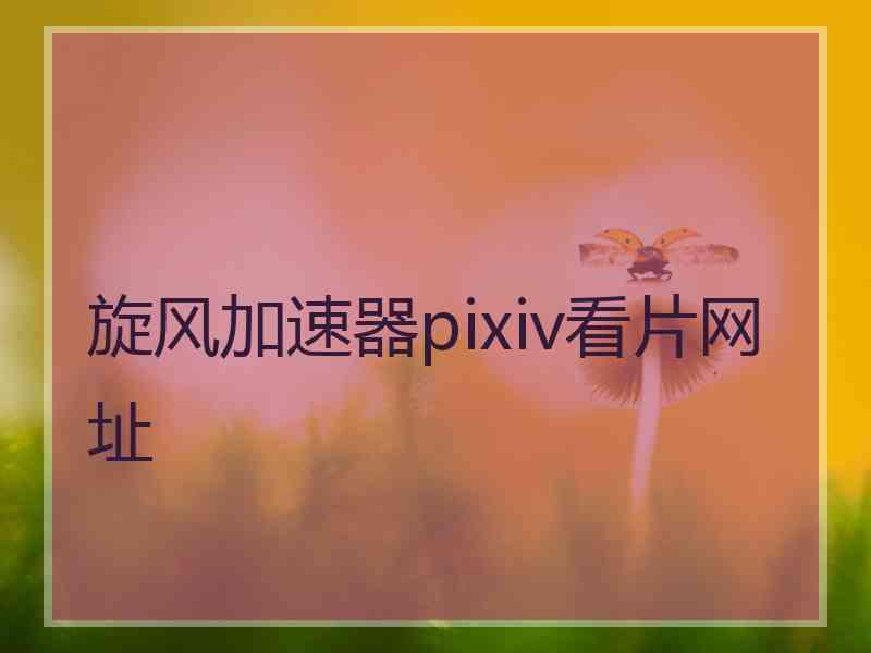 旋风加速器pixiv看片网址