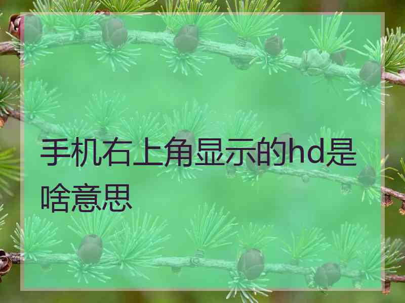 手机右上角显示的hd是啥意思