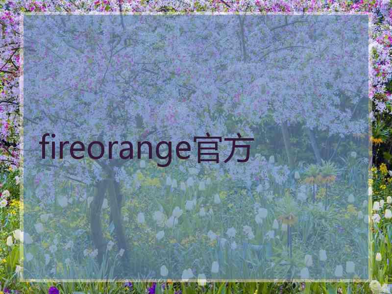 fireorange官方