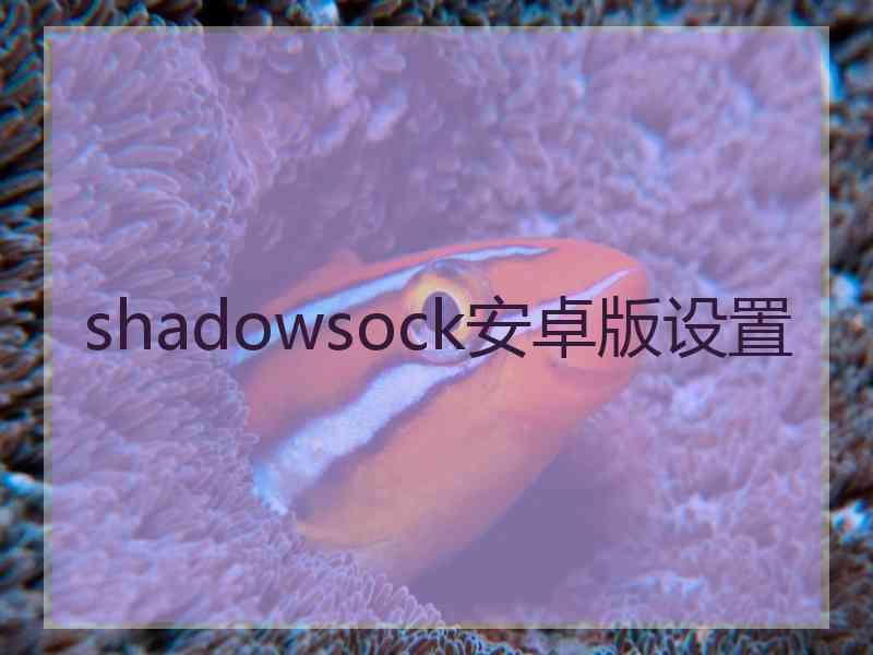 shadowsock安卓版设置