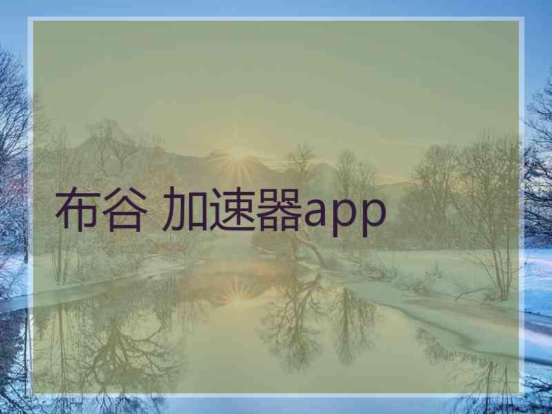 布谷 加速器app