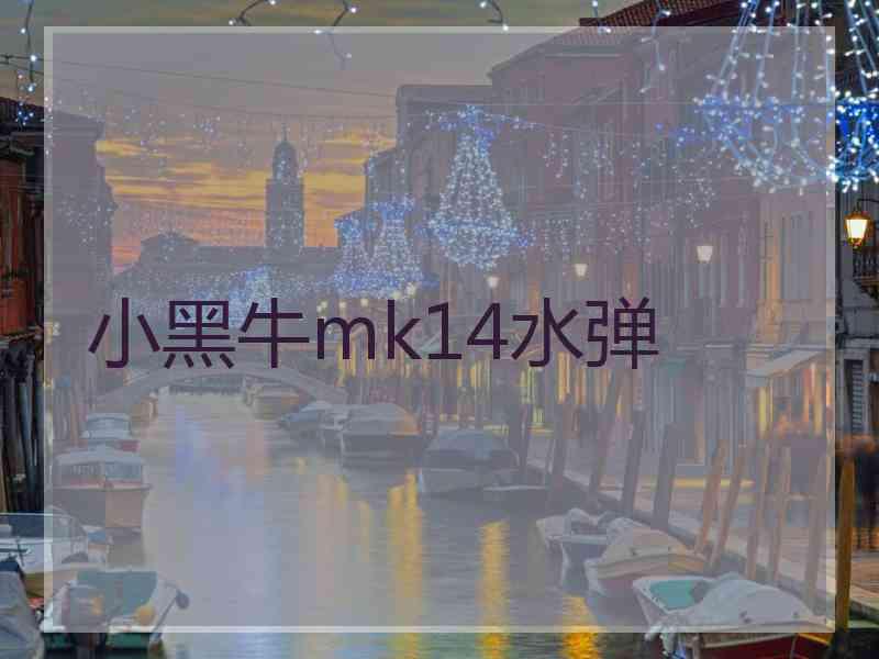 小黑牛mk14水弹