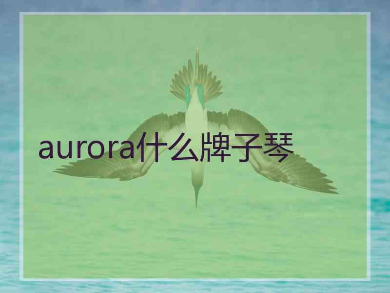 aurora什么牌子琴