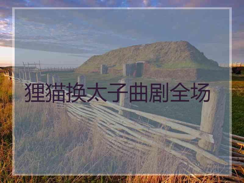 狸猫换太子曲剧全场