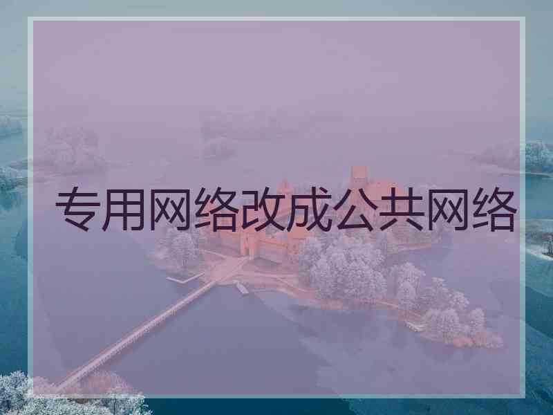 专用网络改成公共网络