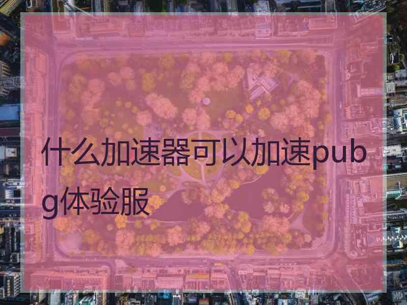 什么加速器可以加速pubg体验服