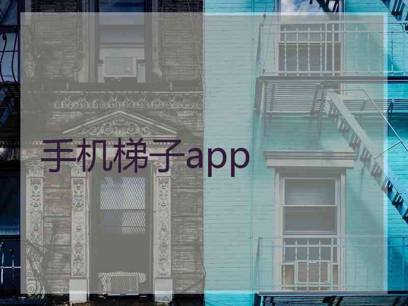 手机梯子app