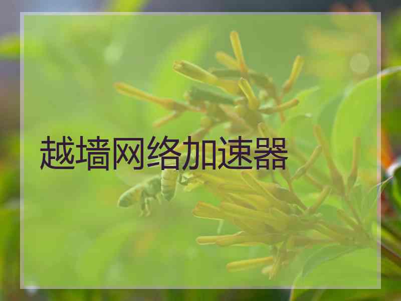 越墙网络加速器