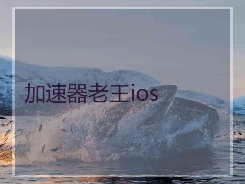 加速器老王ios