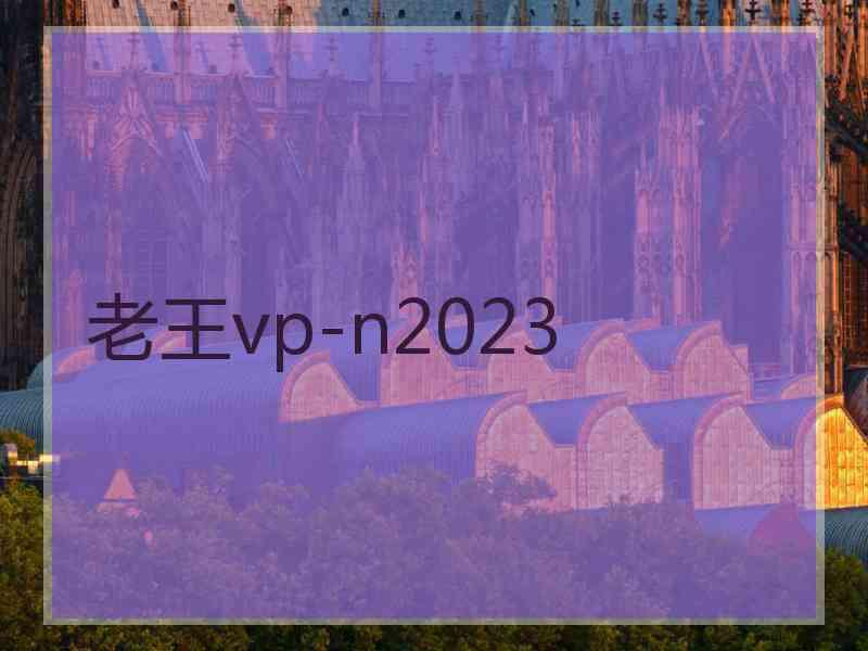 老王vp-n2023