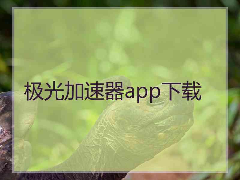 极光加速器app下载