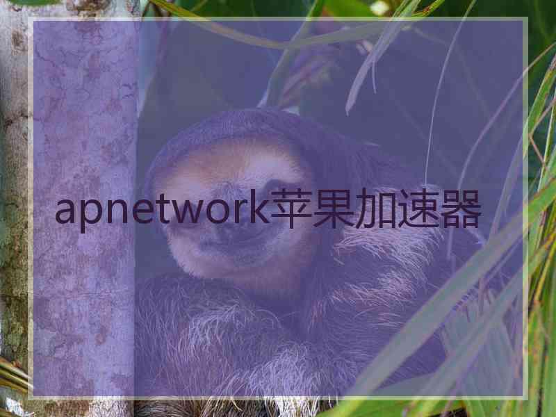 apnetwork苹果加速器