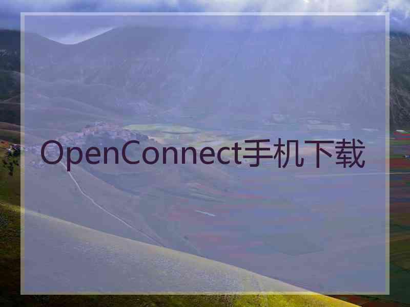 OpenConnect手机下载